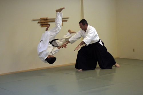 Aikido Shindokan - What Is Aikido?