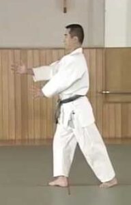 Aikido Shindokan Chida Kamae